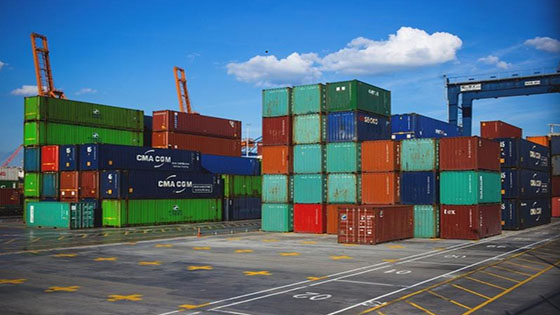 Professional exporting process