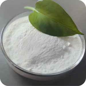 Magnesium Orotate CAS 34717-03-8 powder form